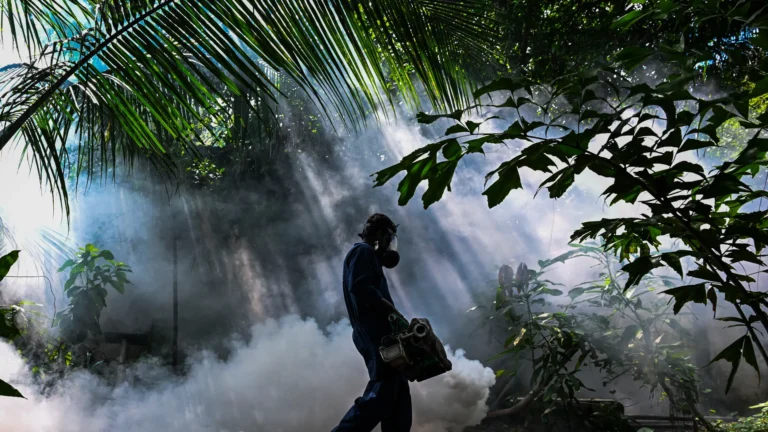 Monsoon Menace: Sri Lanka Cases Cross 54,000 as Dengue Surge Grip the Island